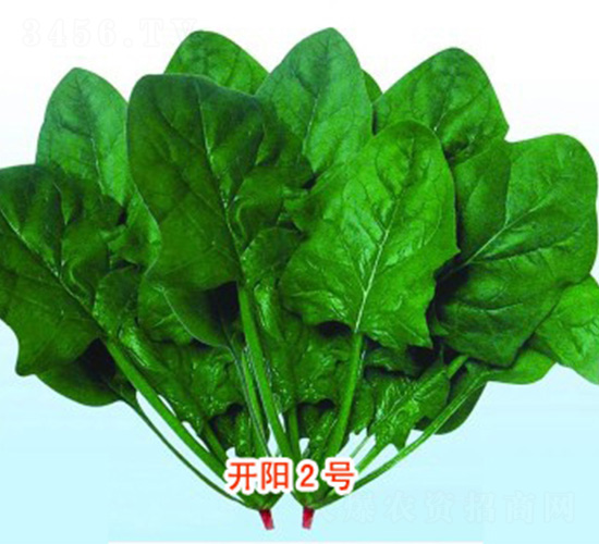 _(ki)(yng)2̖(ho)-˷N-N