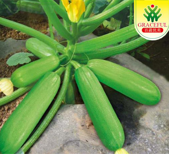 ̖(ho)-JN-(yu)r(nng)I(y)