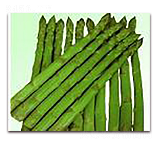 115-JSN-(yu)rI(y)