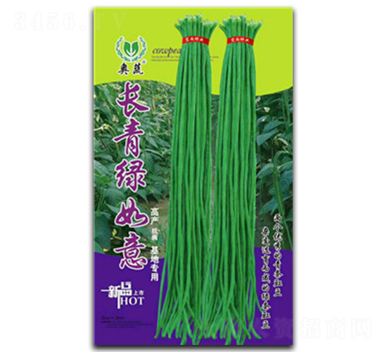 L(zhng)v-N-