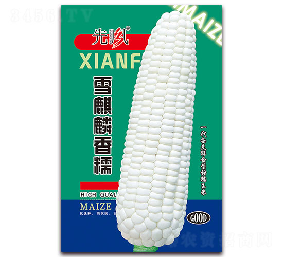 ѩŴ-Ŵ׷N-L(fng)