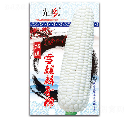 ѩŴ-Ŵ׷N-L