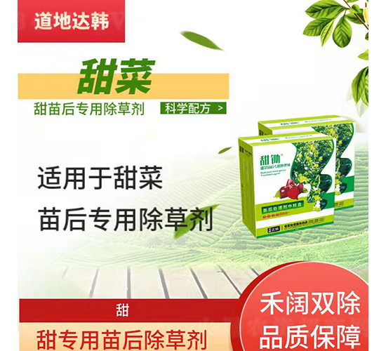 ˌ(zhun)݄-z-_(d)n