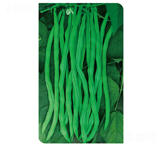 tSL߮a(chn)ܶ-|N-߶˷NI(y)