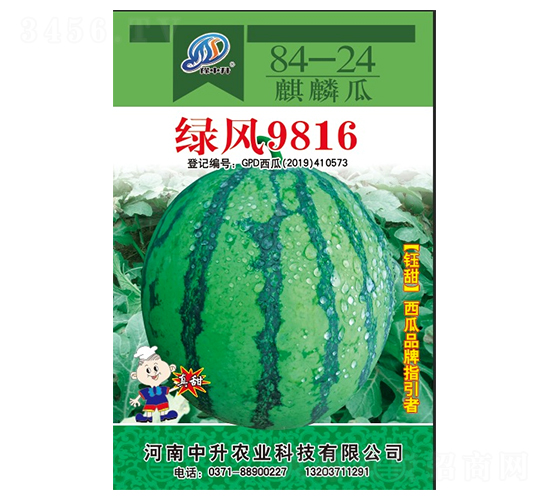 GL9816-ϷN-rI(y)