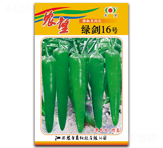 G16̖(ho)-⽷N-r(nng)