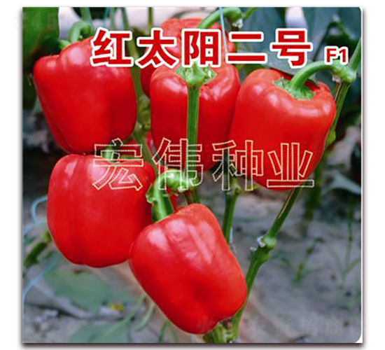 t̫(yng)2̖(ho)-N-ꂥNI(y)