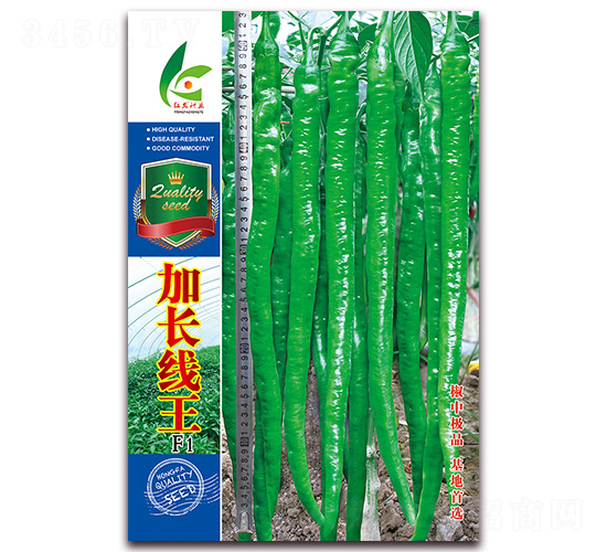 L(zhng)-N-tl(f)NI(y)