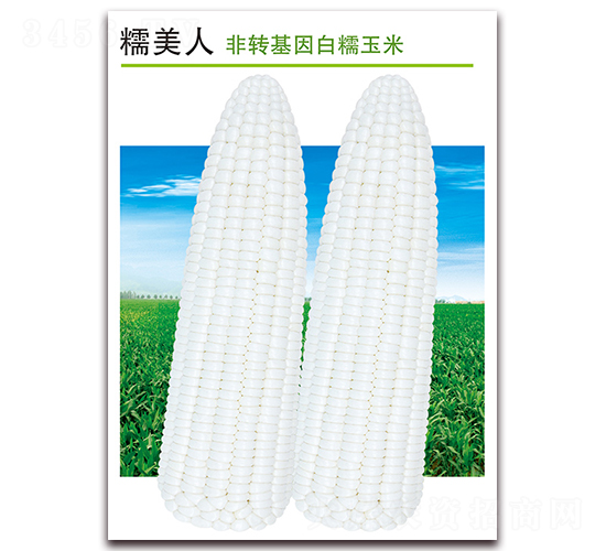 Ŵ-Ŵ׷N-
