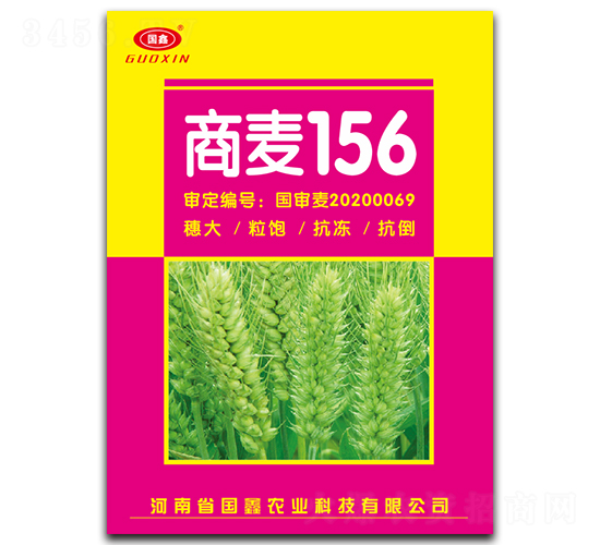 商麥156-小麥種子-豫神農業(yè)