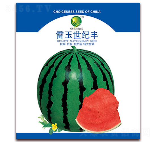 o(j)S-ϷN-NI(y)