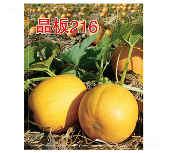 216-JN-x(li)