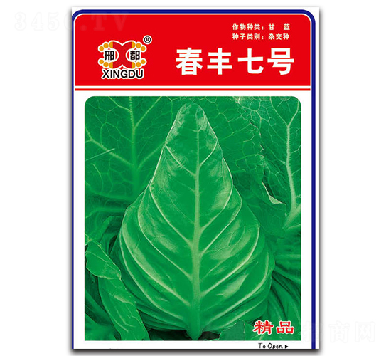 S̖(ho)-{(ln)N-зNI(y)