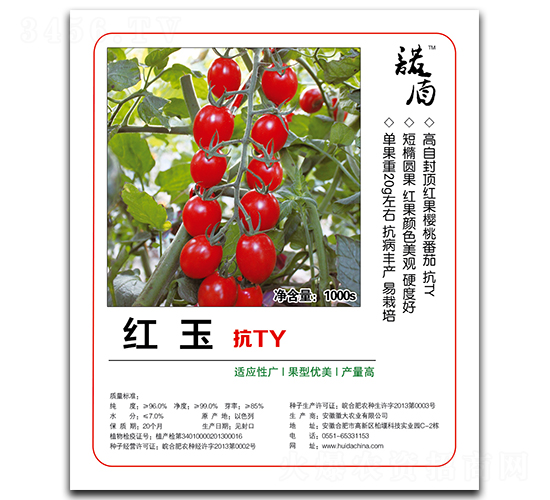 t񣨿TY-ѷN-մrI(y)