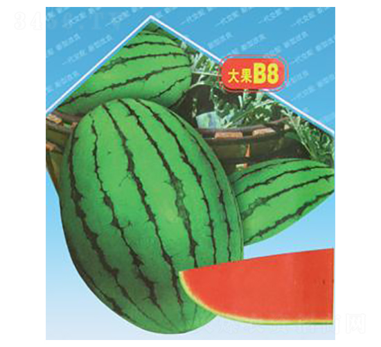 紺tB8-ϷN-΢ȷNI(y)