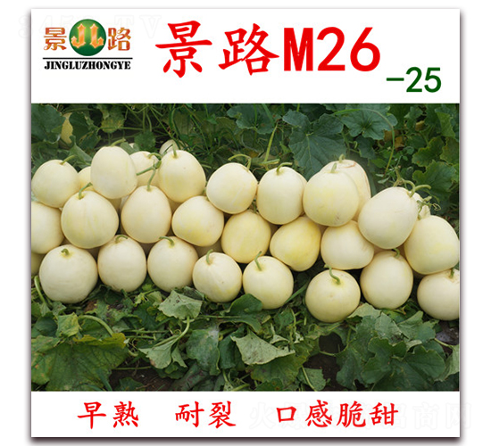 M26-25-ƤϷN-·NI(y)