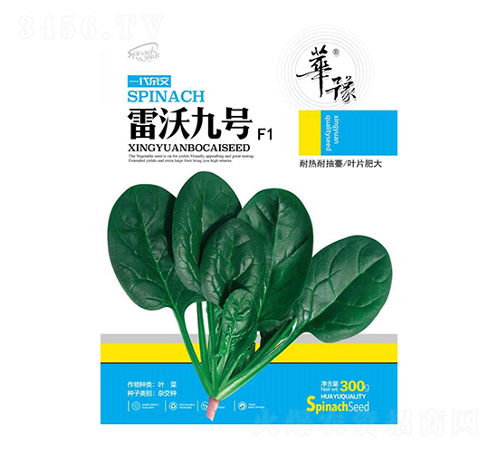 ־̖(ho)-˷N-Դr(nng)I(y)