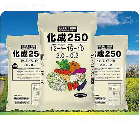 ߲ˌÏͻ12-15-10-ʘI(y)