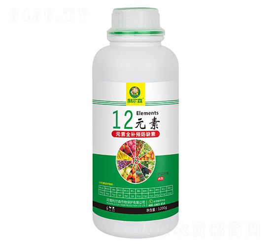 12Ԫ-ɭ