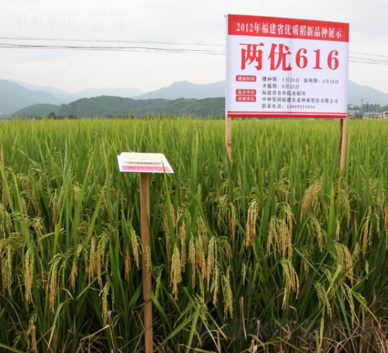 Ƀ(yu)616-ˮN-зNF(tun)