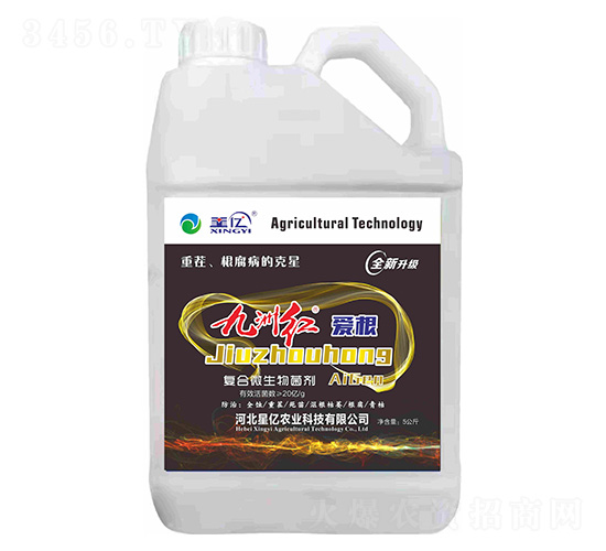 ͺ΢-ݼt۸-ǃ|r(nng)I(y)