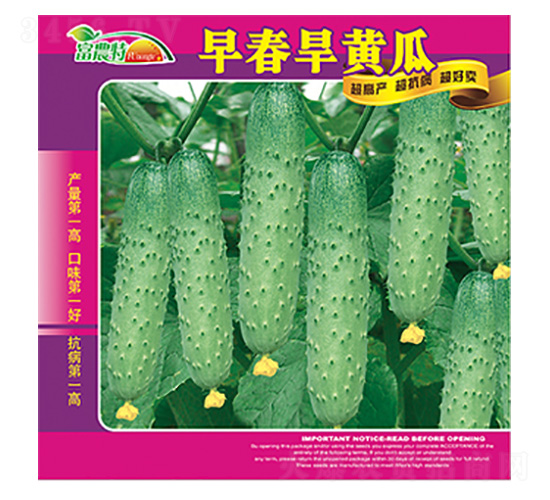 紺S-