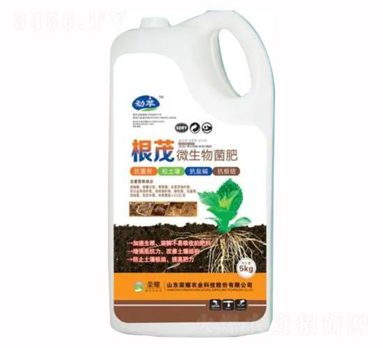 5kg΢-ï-sҫrI(y)