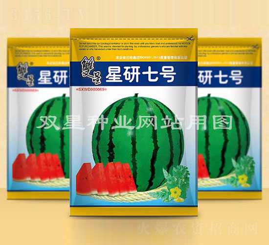 ̖(ho)-ϷN-pǷNI(y)