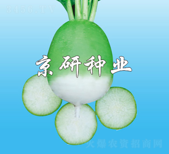 1̖(ho)-}N-зNI(y)