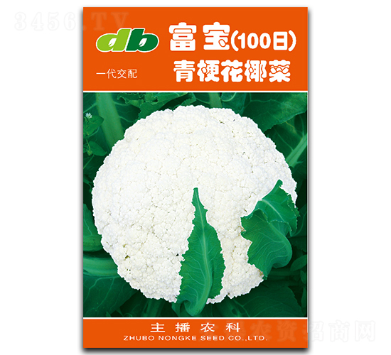 富寶100天-花椰菜種子-比爾