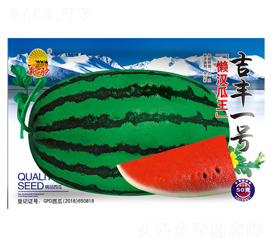 吉豐一號懶漢瓜王-西瓜種子-吉豐種業(yè)