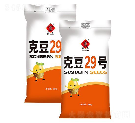 克豆29號-大豆種子-富爾農藝