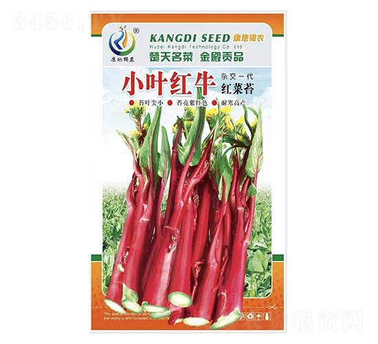 小葉紅牛-菜薹種子-康地科技