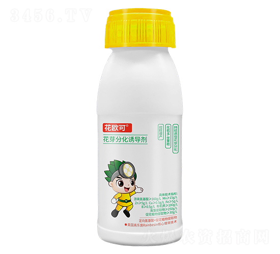 ѿֻT100g-W-ع