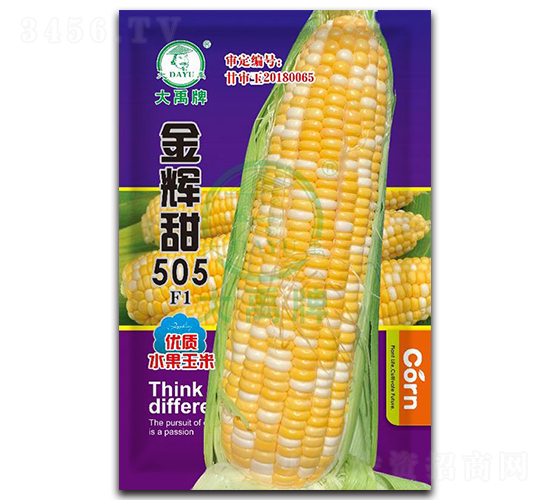 x505׷N-NI(y)