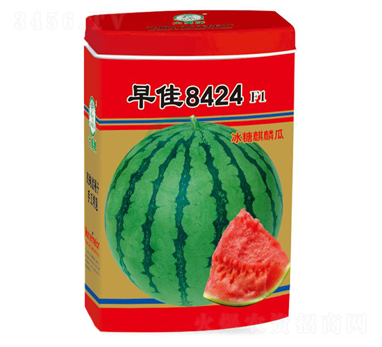 8424ϷN-NI(y)