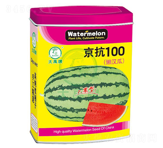 100ϷN-NI(y)