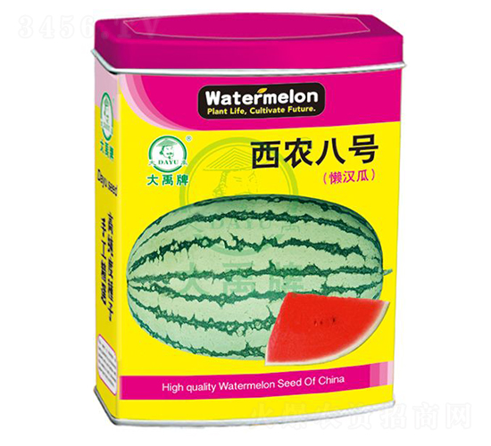 r(nng)8̖ϷN-NI(y)
