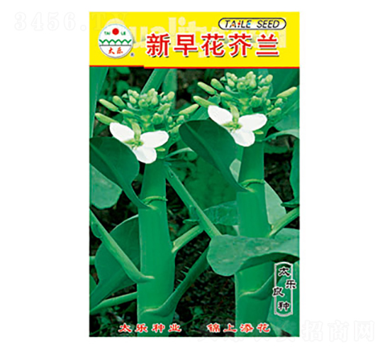 mN-绨m-̫(l)NI(y)