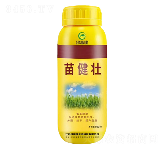 罡-G