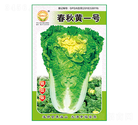 ײ˷N-Sһ̖(ho)Ʒ-̫(l)NI(y)