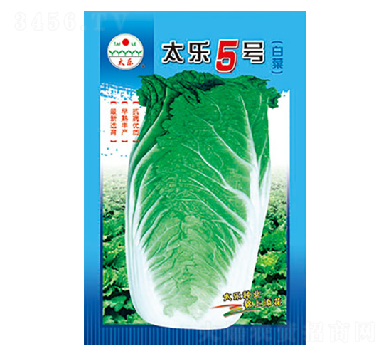 ײ˷N-̫5̖(ho)-̫NI(y)