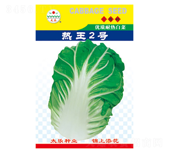 ײ˷N-2̖(ho)-̫NI(y)