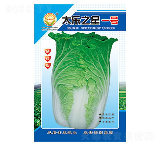 ײ˷N-̫֮һ̖Ʒ-̫NI(y)