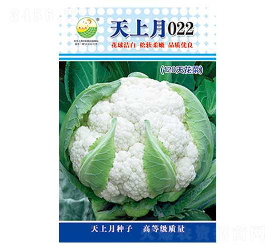 ׻Ҭ˷N-022-̫(l)NI(y)