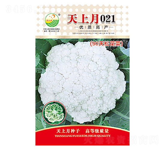 ׻Ҭ˷N-021-̫(l)NI(y)