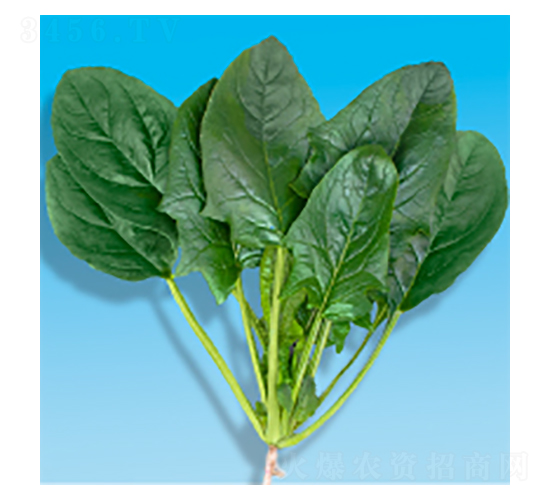 ˷N-孲207-A孷NI(y)