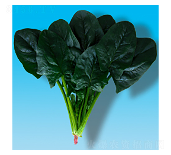 ˷N-孲012-A孷NI(y)