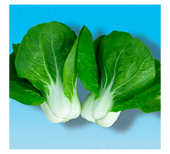 ๣˷N-204-A孷NI(y)