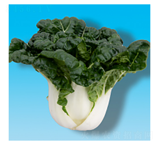 ๣˷N-̰ײ302-A孷NI(y)